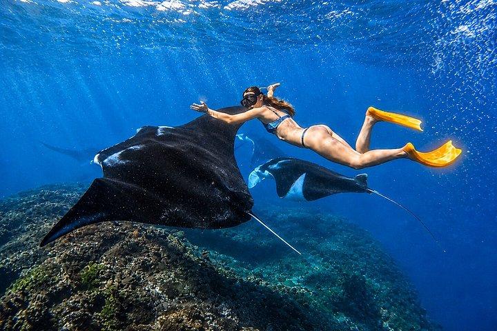 ヌサペニダ島プライベートシュノーケリングと西ツアーがバリ島からスタート