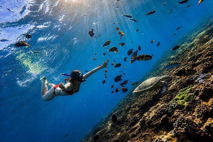 ヌサペニダ島プライベートシュノーケリングと西ツアーがバリ島からスタート
