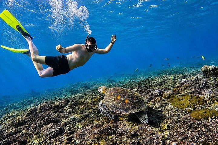 ヌサペニダ島プライベートシュノーケリングと西ツアーがバリ島からスタート