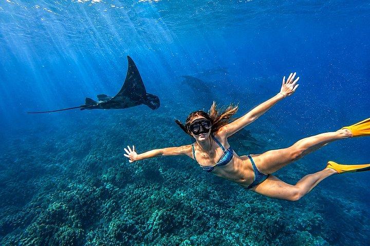 ヌサペニダ島プライベートシュノーケリングと西ツアーがバリ島からスタート