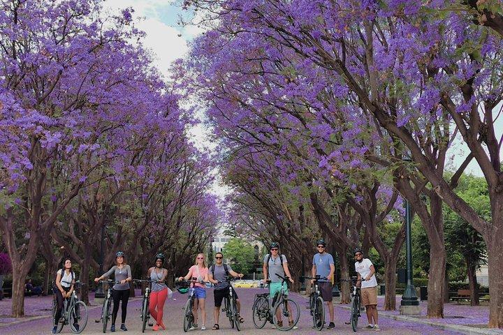 Privat Athen elektrisk cykeltur