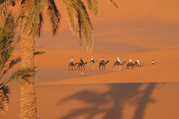 5 - Tag Marokko Highlights ab Casablanca : Fes, Wüste & Marrakesch