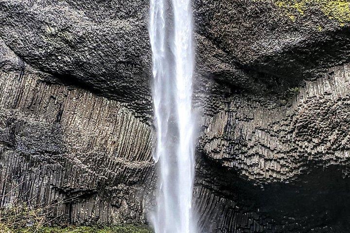 滝とワイン ツアー - マルトノマ滝、ブドウ園、フッド リバー コンボ