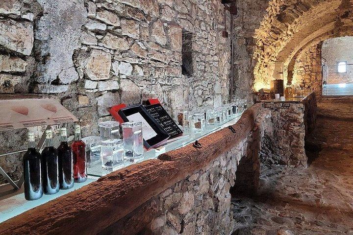 DOCGのワインとアヴェッリーノ・タウラシの試飲会