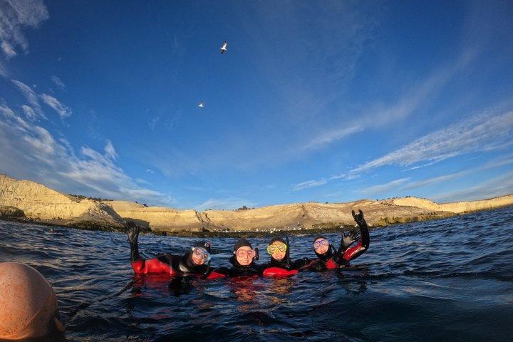 Snorkel con leones marinos y aventura con vida silvestre