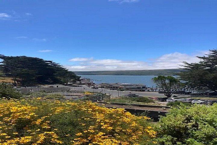 Crabbing Adventure at Tomales Bay