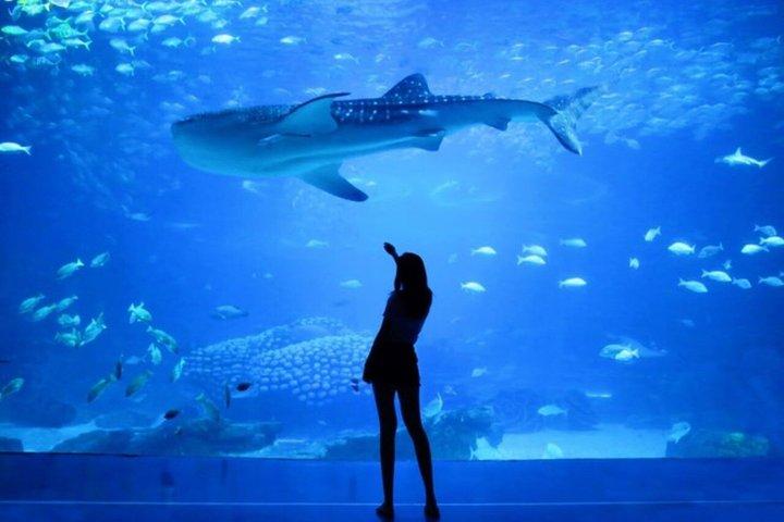 Entrance to Oceanary and cable car