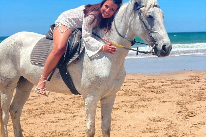 Horse Riding Adventures along Agadir's Coast