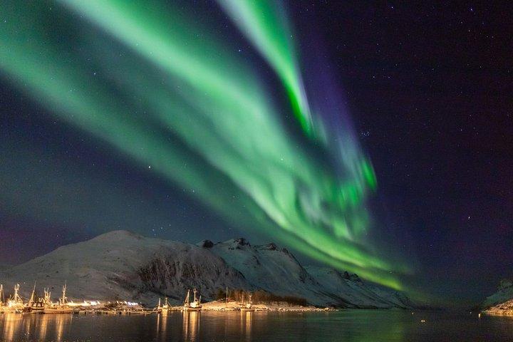 Tromso: Private Northern Lights Tour - Aurora Guarantee