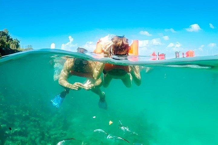 Catalina Island and Altos de Chavon Snorkeling Adventure