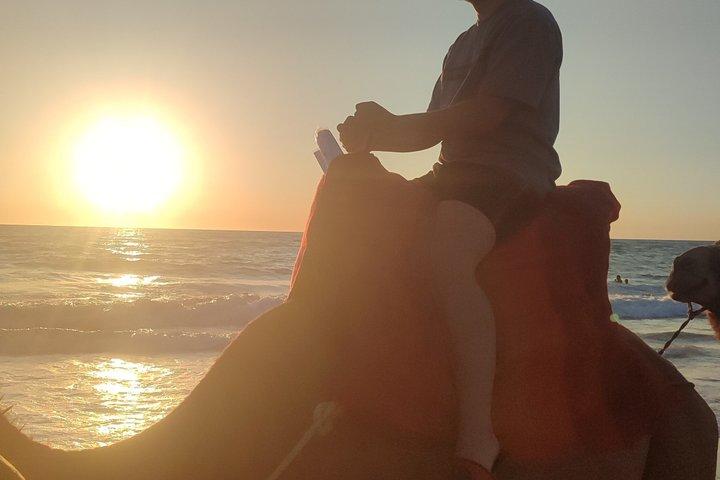 Camel Ride - Tangier & Asilah