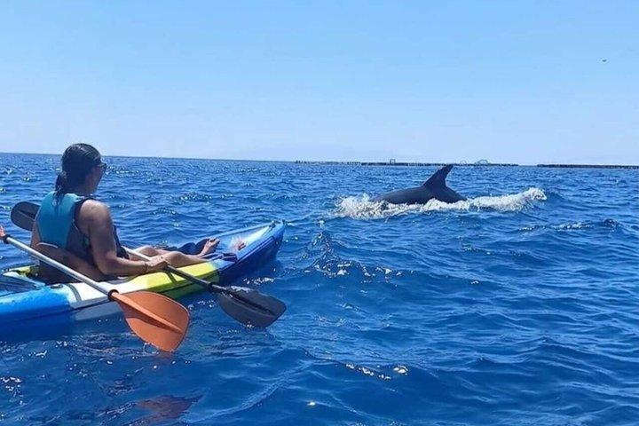 Kayak y snorkel en Los Cristianos