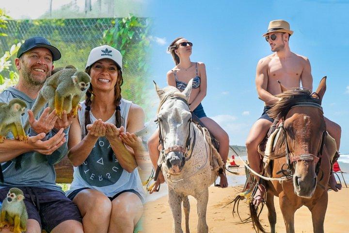 Tour combinato a cavallo e Monkeyland da Puerto Plata