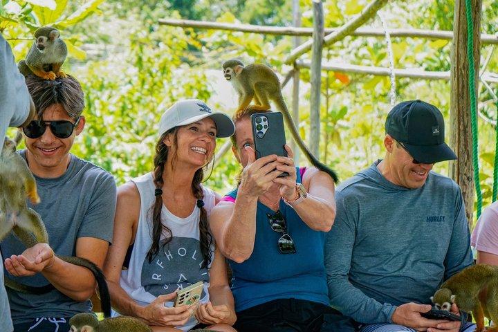 Tour combinato a cavallo e Monkeyland da Puerto Plata