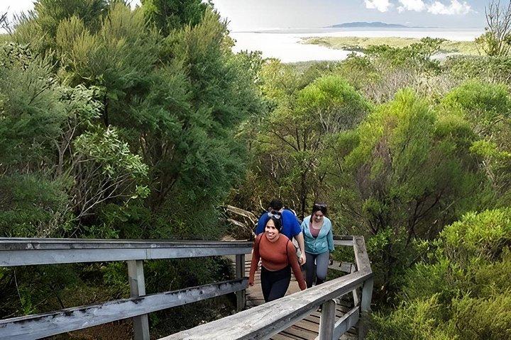 ランギトト島プライベートツアー