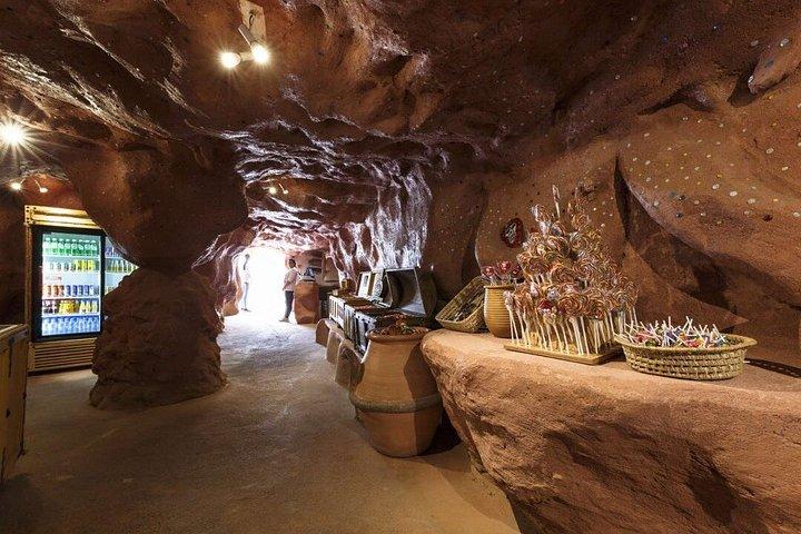 Crocoparc Agadir Day Trip with Round-Trip Transportation