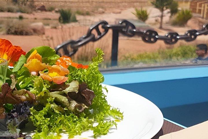 Crocoparc Agadir Day Trip with Round-Trip Transportation