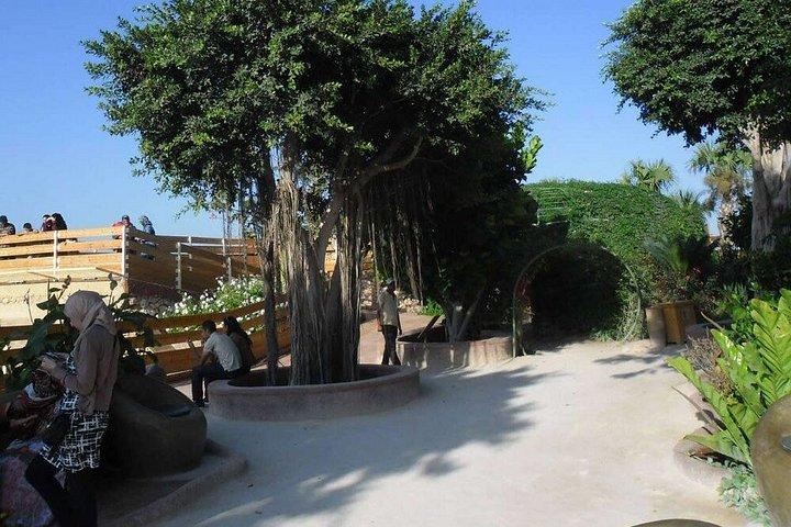 Crocoparc Agadir Day Trip with Round-Trip Transportation