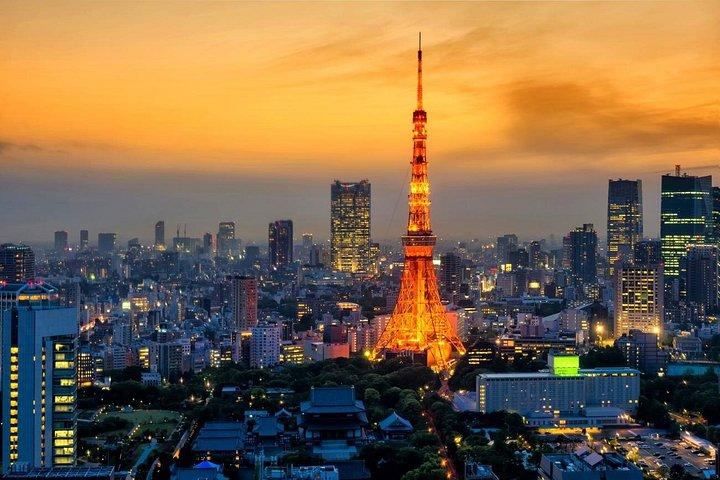 東京浅草ゴーカート体験モンスターカートIDP必須
