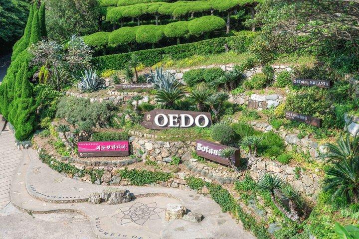 [Hotel Pick-up] Oedo Botania Garden Private Day Tour from Busan