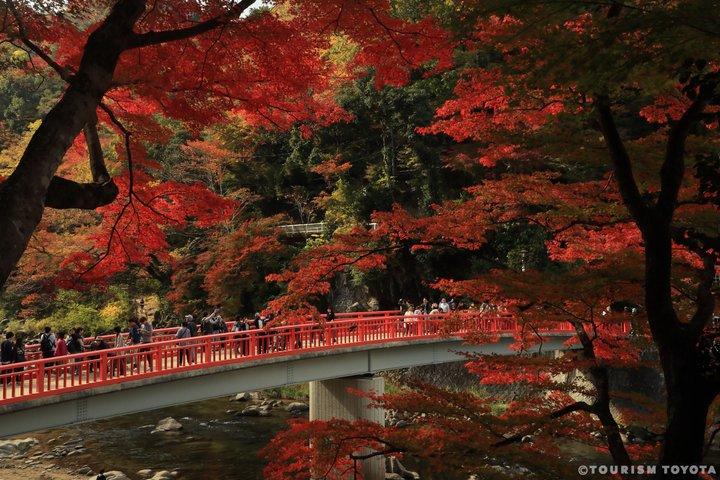 Hoteller i nærheden af Nagoya Shikizakura and Korankei Gorge