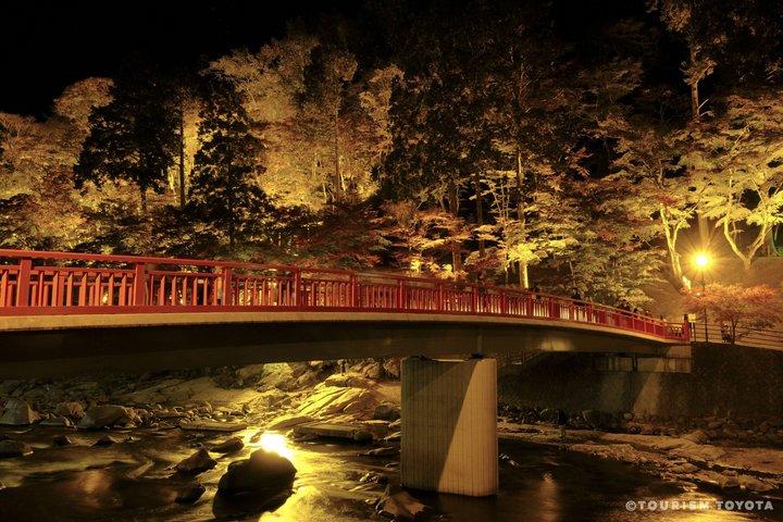 名古屋四季桜と香嵐渓日帰りツアー