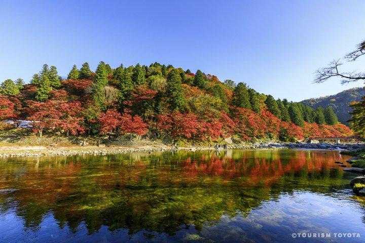 名古屋四季桜と香嵐渓日帰りツアー
