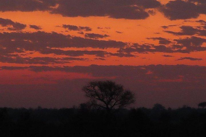4 Day Kruger National Park Shared Wildlife Adventure
