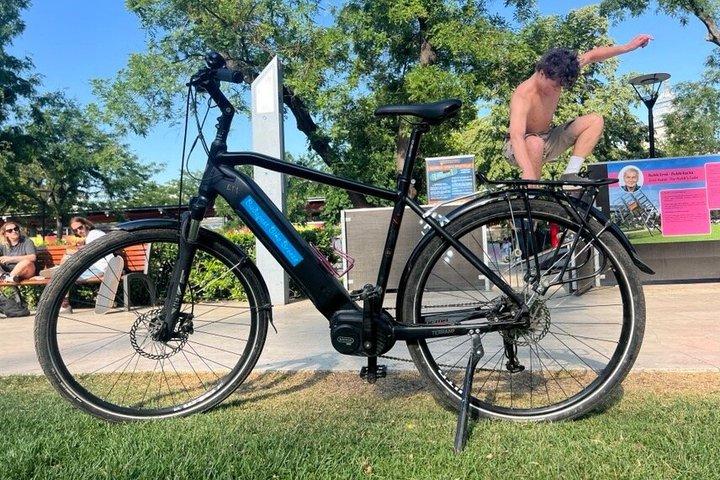 Budapest & Buda Castle E-bike Tour with a local guide