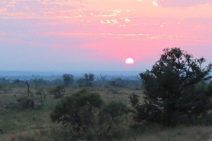 4 Day Kruger National Park Shared Wildlife Adventure