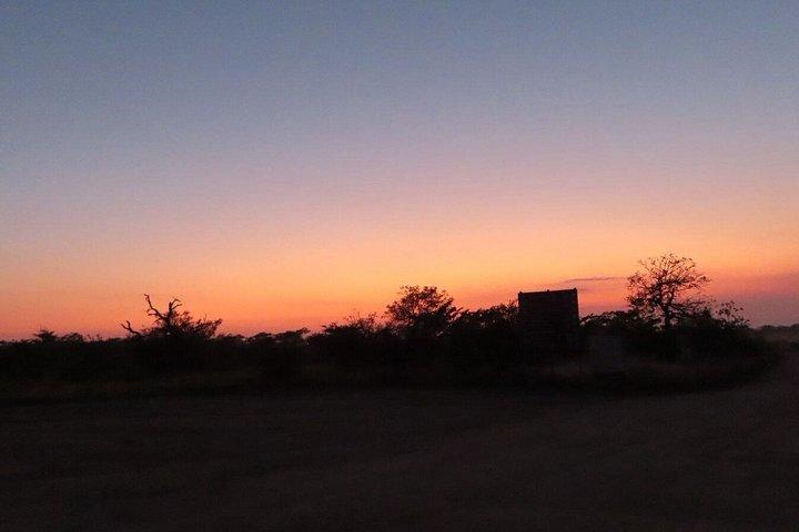 4 Day Kruger National Park Shared Wildlife Adventure