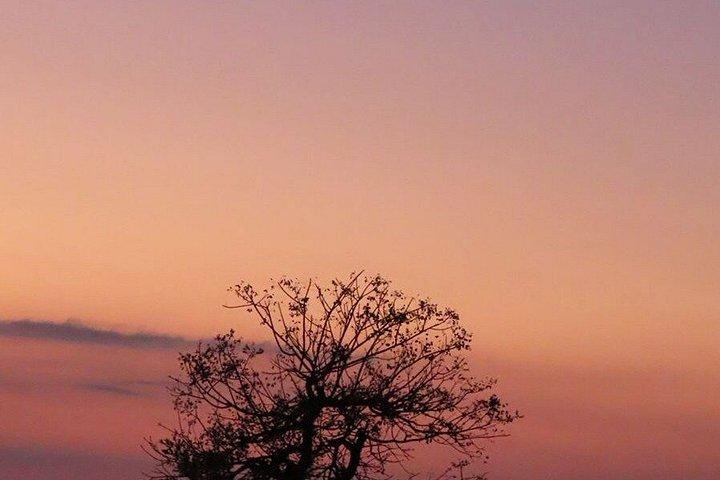 4 Day Kruger National Park Shared Wildlife Adventure