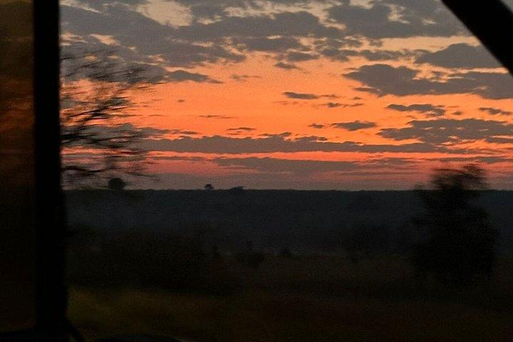 4 Day Kruger National Park Shared Wildlife Adventure