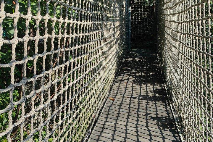 杭州松城永遠の愛の公園とショーを見なければならない