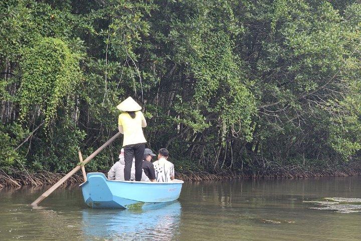 Da Cidade de Ho Chi Minh: Passeio de barco panorâmico de Can Gio Forest & Wildlife