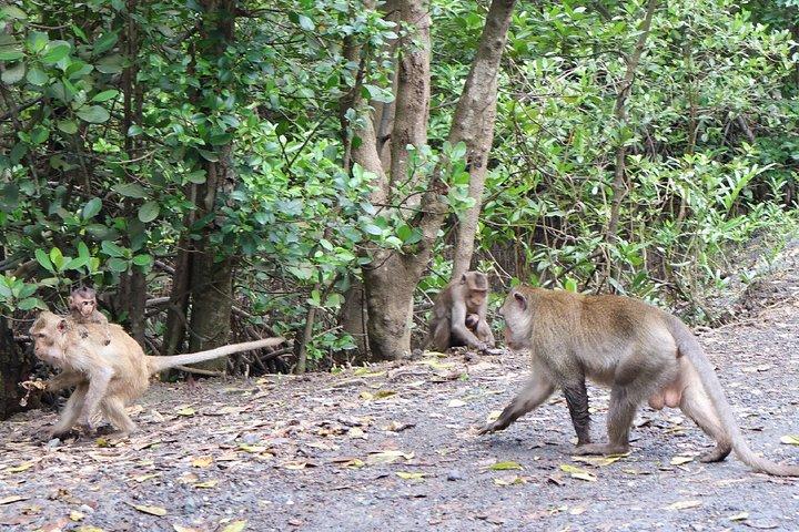 ホーチミン市内から：カン・ギオ森林＆野生動物観光船ツアー