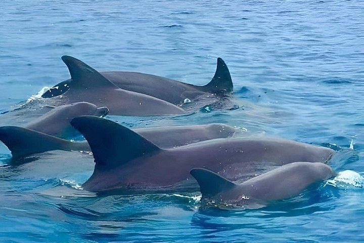 Full Day Private Zanzibar Tour with Sunset Beach