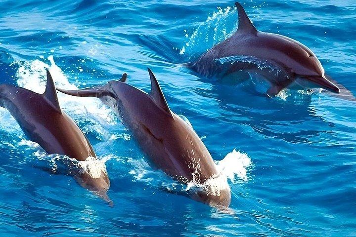 Full Day Private Zanzibar Tour with Sunset Beach