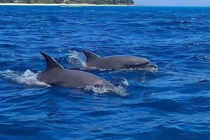 Full Day Private Zanzibar Tour with Sunset Beach