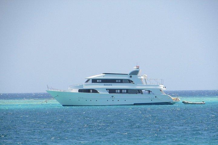 オレンジベイ島シュノーケリングツアー（ランチ付き）