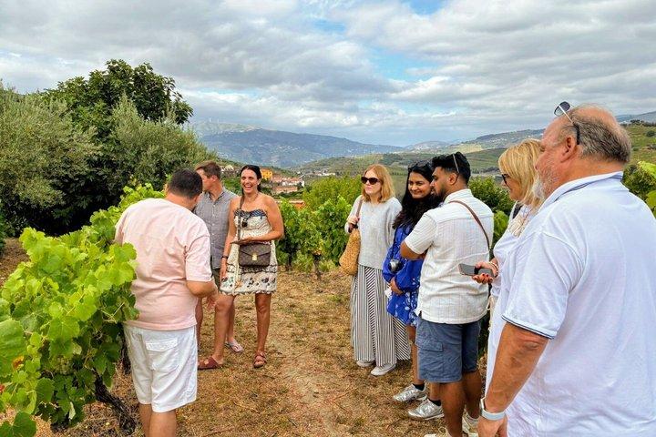 Porto : Douro Valley Small-Group Wine Tour, cruzeiro de barco e almoço