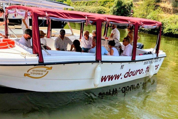 Porto : Douro Valley Small-Group Wine Tour, cruzeiro de barco e almoço