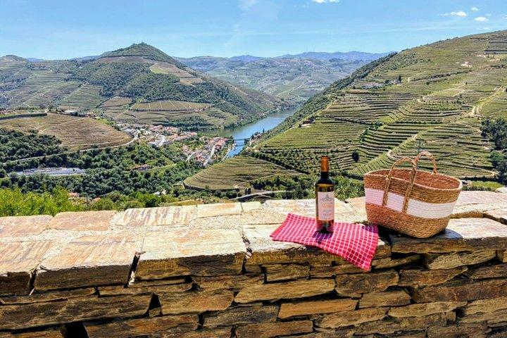 Porto : Douro Valley Small-Group Wine Tour, cruzeiro de barco e almoço