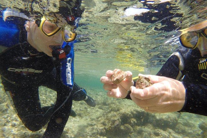 Escursione di snorkeling "Get Wet" all'Isla de Lobos con partenza da Corralejo.