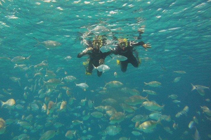 Escursione di snorkeling "Get Wet" all'Isla de Lobos con partenza da Corralejo.
