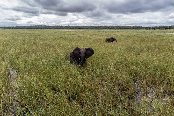 Maputo Reserva Especial Safari de dia inteiro via veículo aberto
