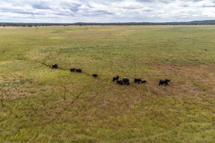 Maputo Reserva Especial Safari de dia inteiro via veículo aberto