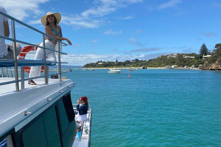 90 minute wildlife and scenic cruise