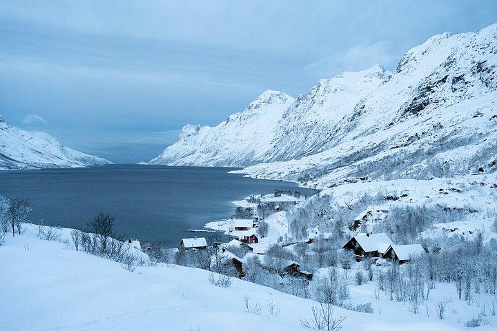 Tromsø : プライベート北極フィヨルド探検＆隠れた宝石