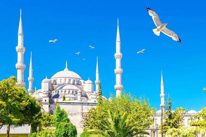 Blue Mosque Shared Tour with Official Guide